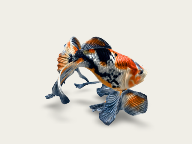Fish 3 preview