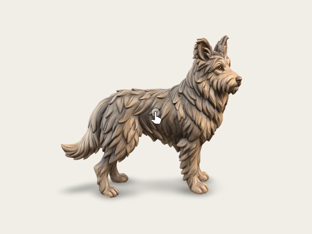 Picardy Sheepdog preview