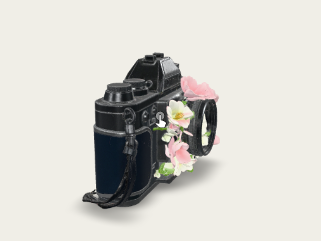 Camera plantpot preview