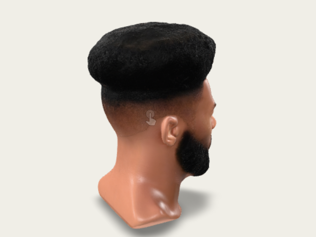 Bearded Afro Portrait preview