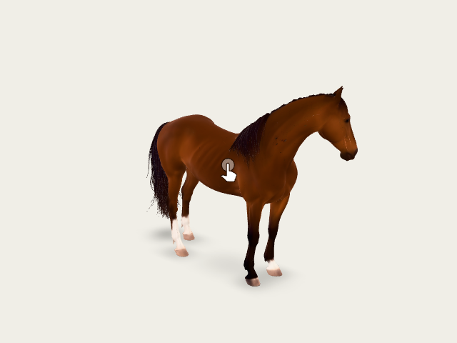 Horse (2) model preview