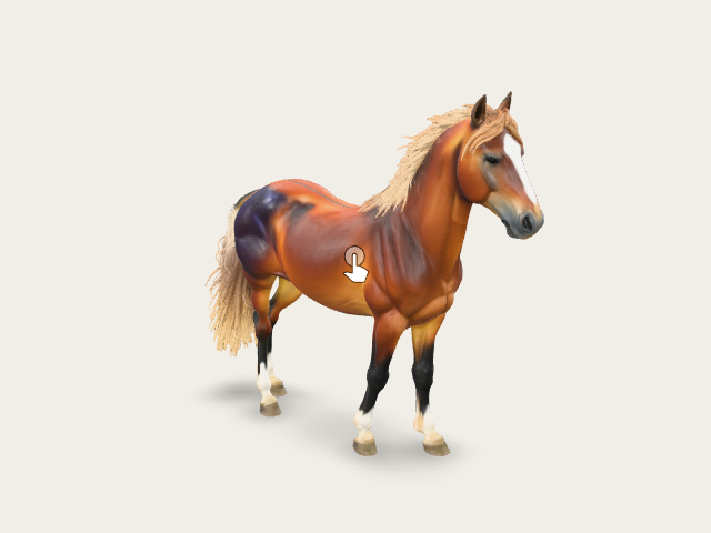 Majestic Stallion model preview