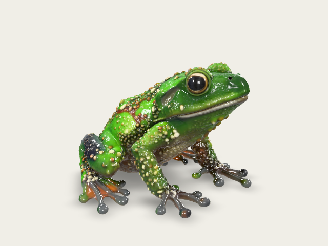 Mossy Frog Illustration preview