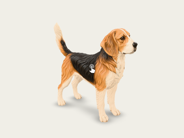 Carved Beagle model preview