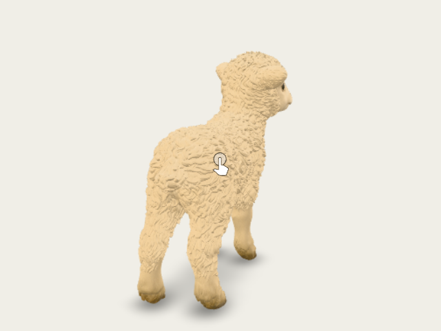 Curious Little Lamb model preview