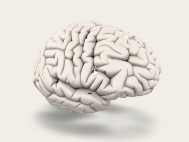 Dog Brain preview